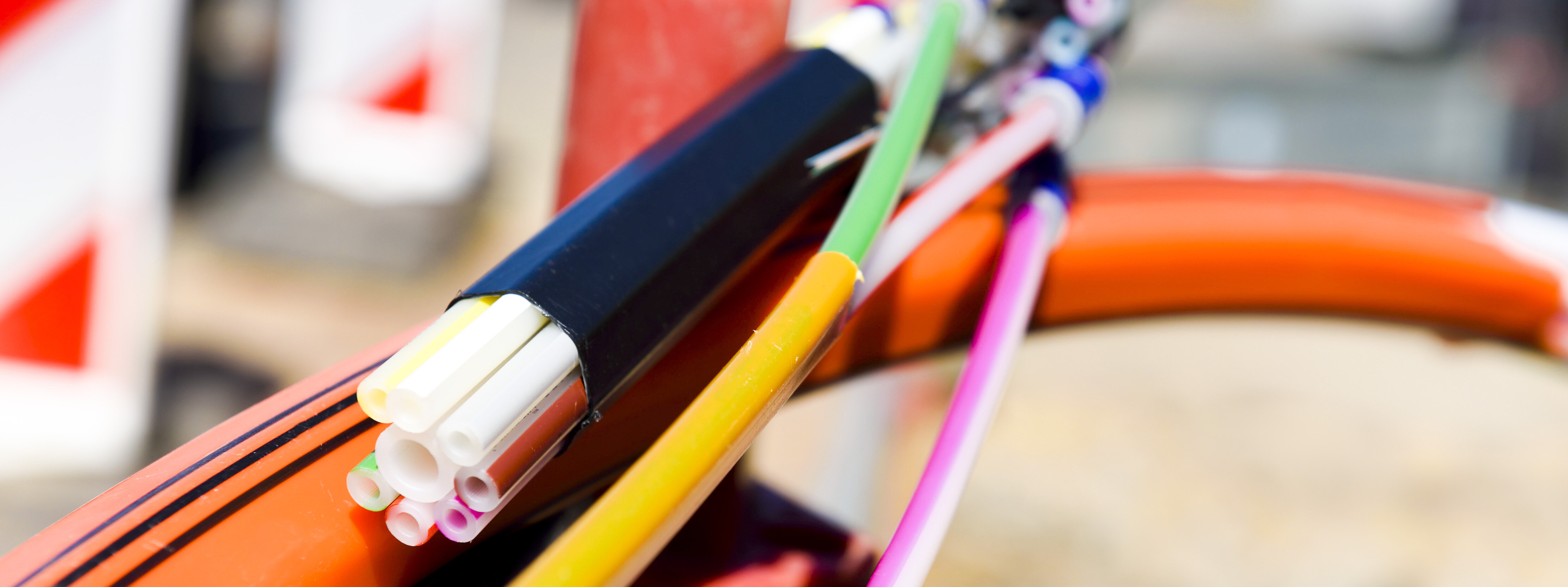 (Foto: Adobe Stock / Gerhard Seybert Medien & Presse Service)