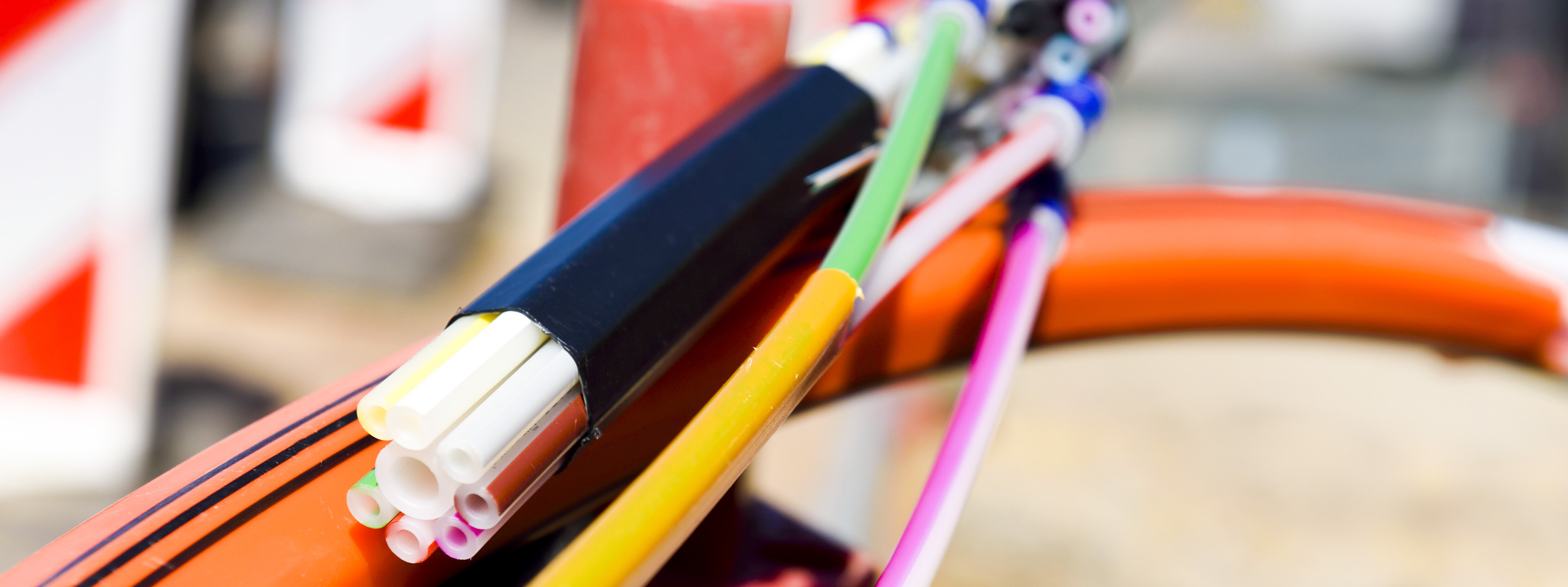 (Foto: Adobe Stock / Gerhard Seybert Medien & Presse Service)
